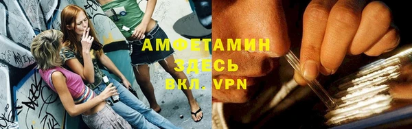 индика Приозерск